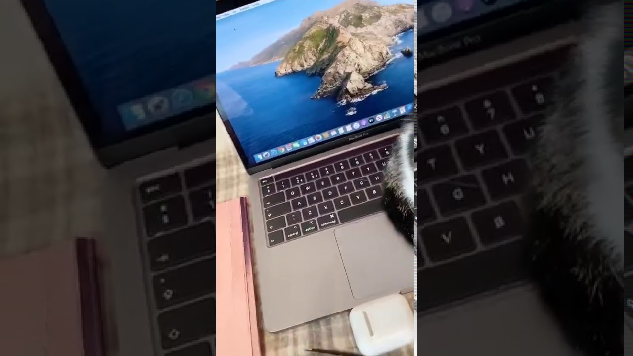 The new model of Apple Mac Pro laptop! 