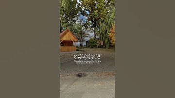 #قرآن_كريم #المصحف #قرآن #الرحمن #تلاوة_خاشعة #