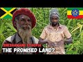 24 hours with repatriated rastas in shashamane ethiopia 