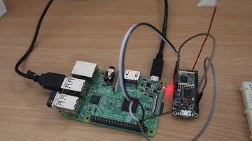 Multiple Long Range Wireless Sensor Node