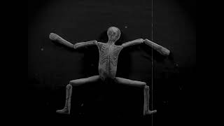 John Derian for Target Halloween Skeleton