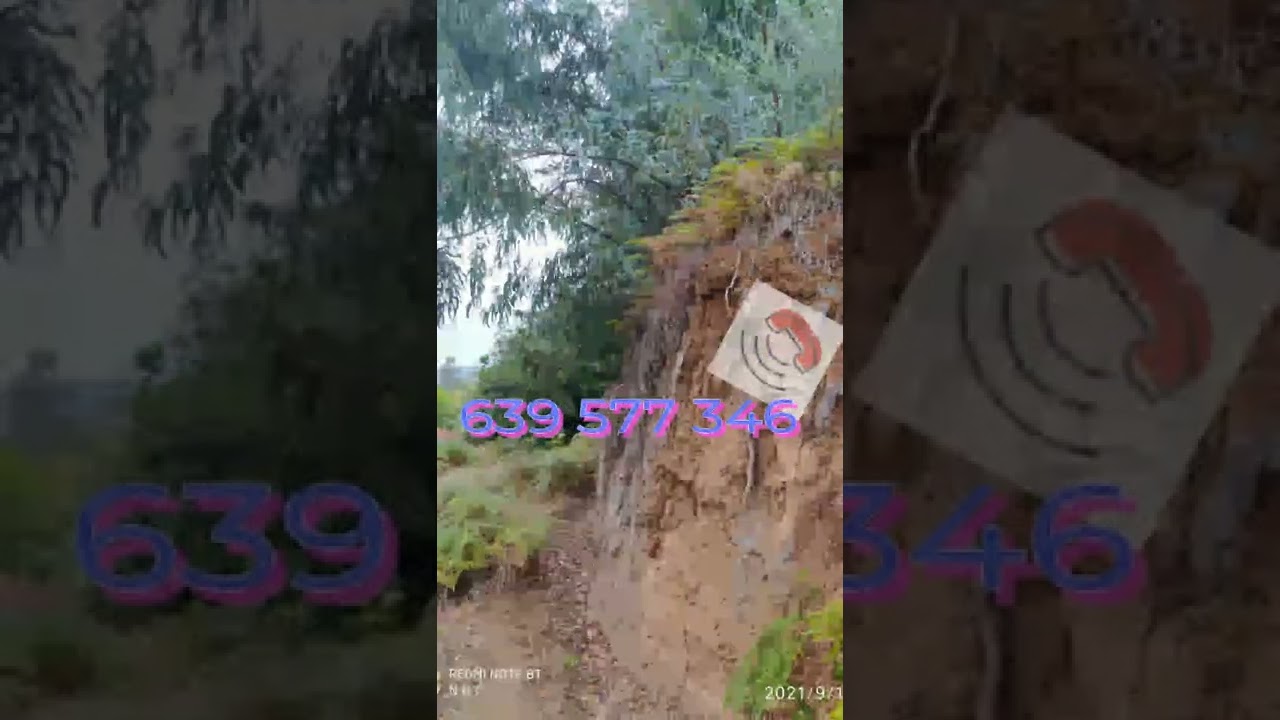 Se vende finca en Gran Canaria Moya