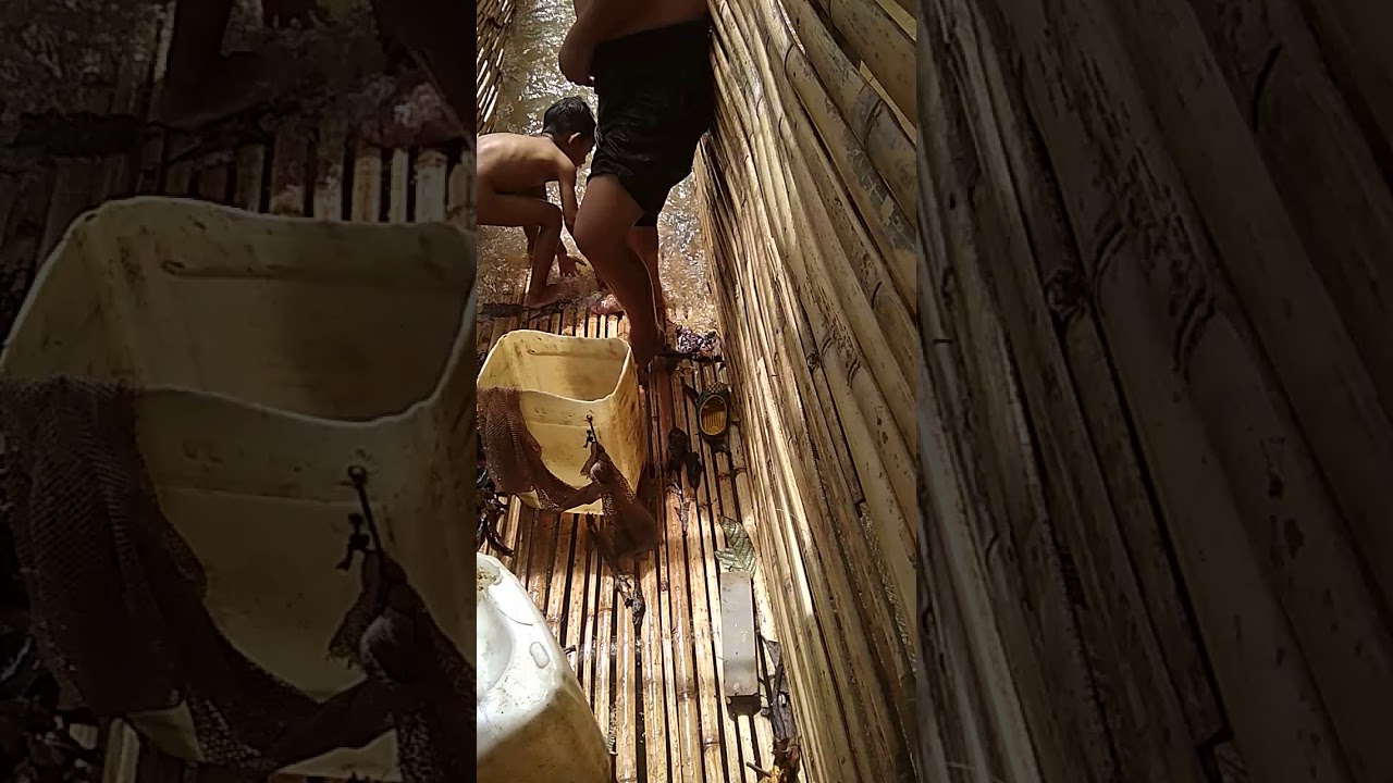 langsatan BTS ulu. YouTube