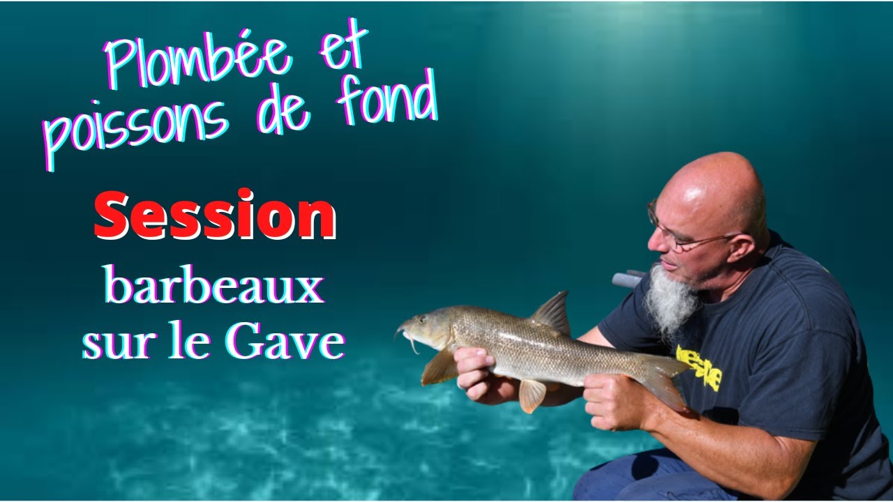 Peche de barbeaux sur le gave de Pau. A la barre en plombée. - YouTube