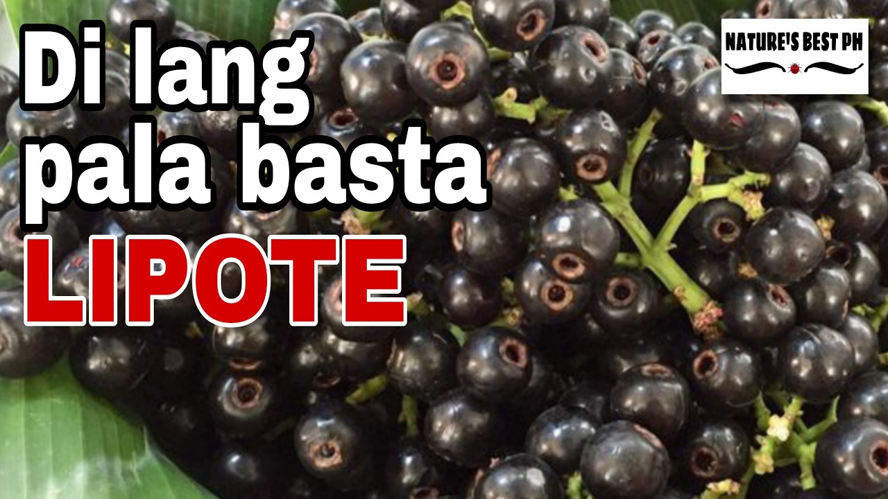 10 Prutas ng Pilipinas na Mayaman sa Vitamin C, Alamin! | Nature's Best Ph