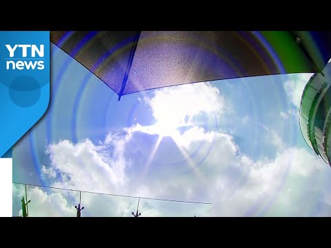 [날씨] '단오', 30℃ 안팎 더위...호남·충남 소나기 / YTN