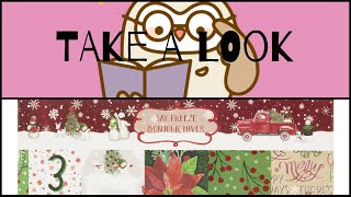 TAKE A LOOK: Say freeze 12x12 paper pad by Craft Smith