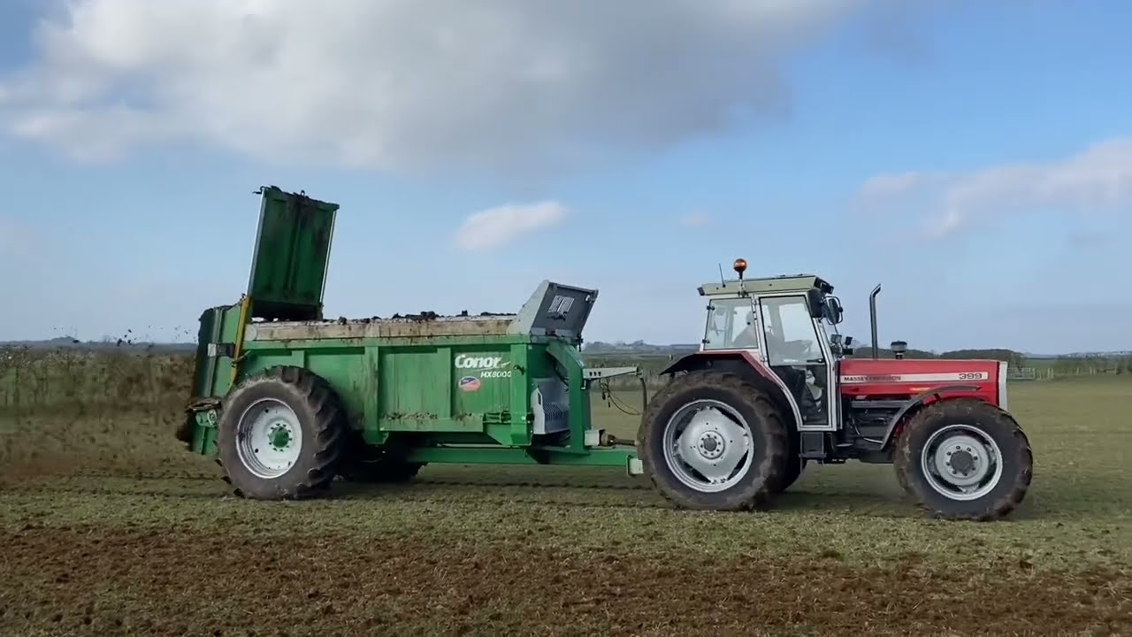 Cumbrian Farming 2024. Spreading muck with a classic Massey Ferguson 399 Turbo & Conor spreader.