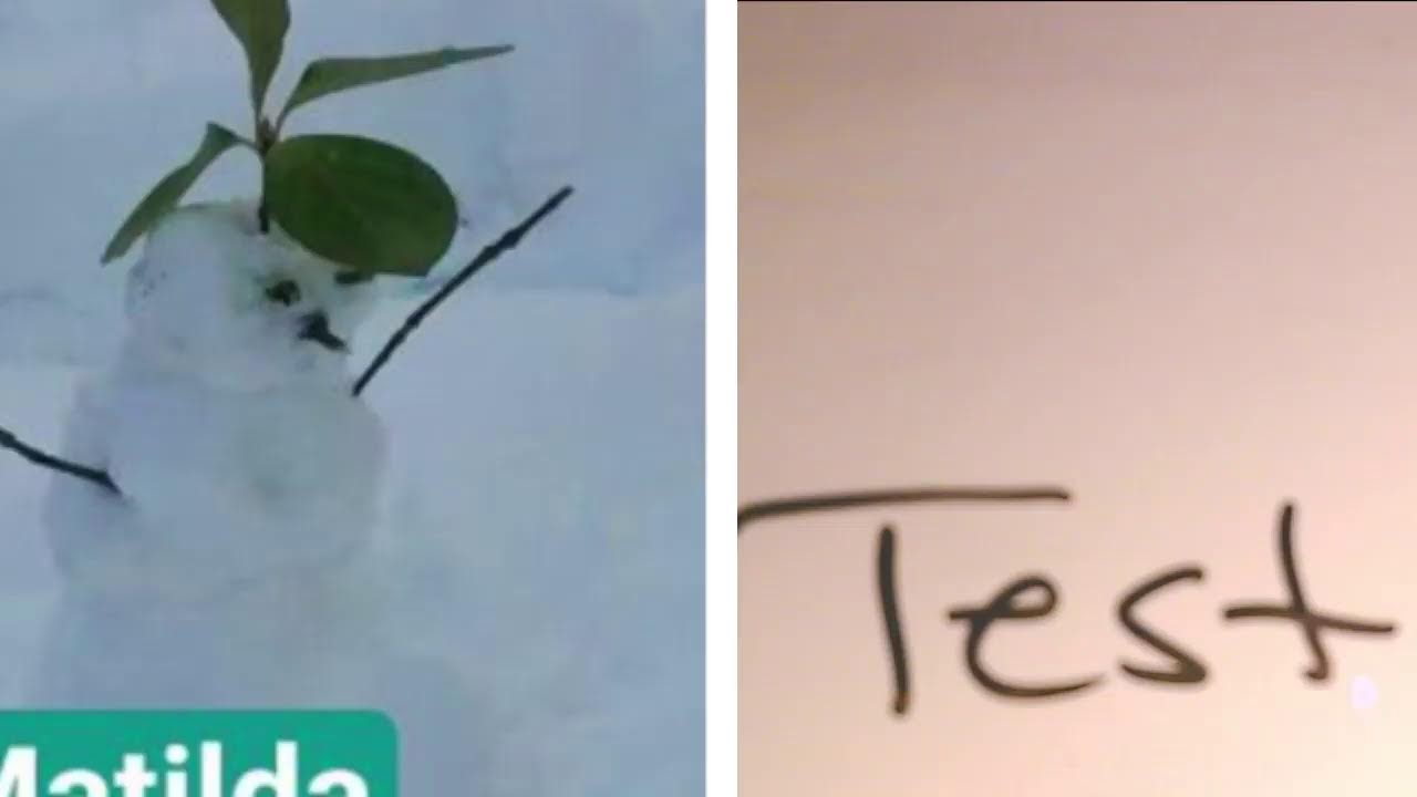 Let's give this a try