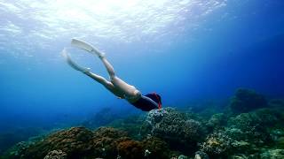 [14] Experience the beginner freediver underwater world.ㅣShort Film Showcase