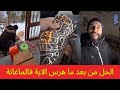 الحولي عفس على الاية وهرسها من بعد ما طلعتو 