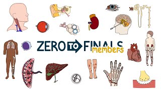 Zero to Finals Members Site Tour