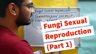 Fungi Sexual Reproduction - Part 1 | Types of Plasmogamy | SRF , JRF , UGC NET