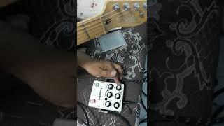 Fv-1 multi pedal Handmade #test4 (echo delay)