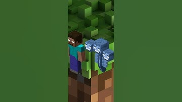 HEROBRINE VS WITHER STORM #Shorts