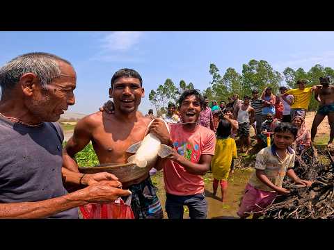 ইয়া বড় বোয়াল মাছ পাওয়ায় গ্রামবাসীর আনন্দ উৎসব ।Traditonal Village Fishing In River |Tangon