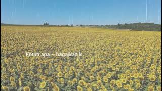 Yeni Inka - PECAH SERIBU (cover lirik) Hanya Dia Yang Ada Diantara Jantung Hati