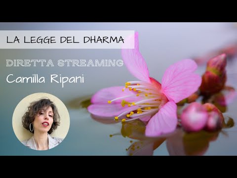 La Legge del Dharma