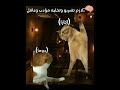 وضع الاقمار العليا في الاجتماع اوتاكو انمي  اكسبلور  طنرجة عمك 