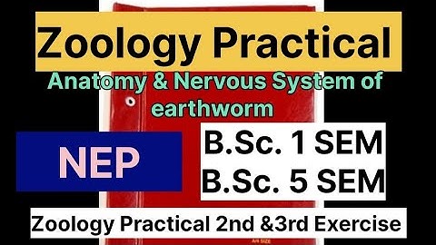 Zoology Practical NEP BSc 1 Sem and BSc 5 Sem l Anatomy and nervous system of Earthworm exercise 