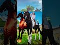 #horse #montage #amadea #sso #starstable #starstableonline