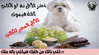 الطعام المضر للكلاب // احذر الاكل دة لو الكلب اكلة هيموت //  الاكل المضر للكلاب// سامر غازي