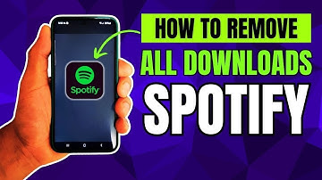 How to Remove All Downloads in Spotify