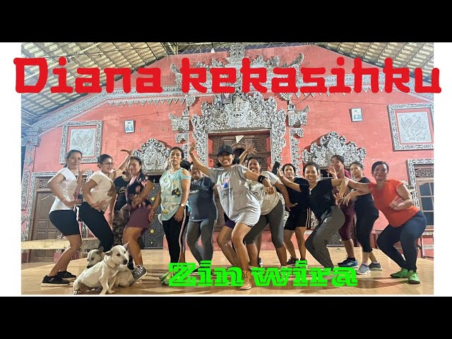 Diana kekasihku Remix_Dance Fitnes_Zumba_Dance Workout_Senam Kreasi_ZIN WIRA class=