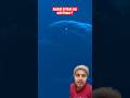 monster Kraken takut dengan ikan ini #nabi #ikan #megalodon #kraken #viral