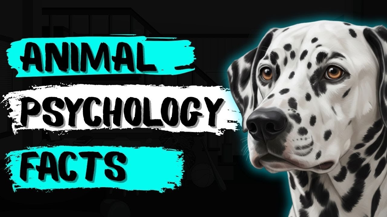 What Animal Psychology Reveals About Human Fragility