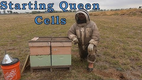 Making a Cell Starter, Finisher, & Builder From 1 Colony