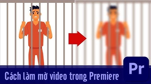 Cách làm mờ video trong Premiere che gương mặt, vật thể