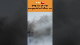 NOIDA Fire News : नोएडा फेज 2 में स्थित कबाड़खाने में लगी भीषण आग  | ABP GANGA
