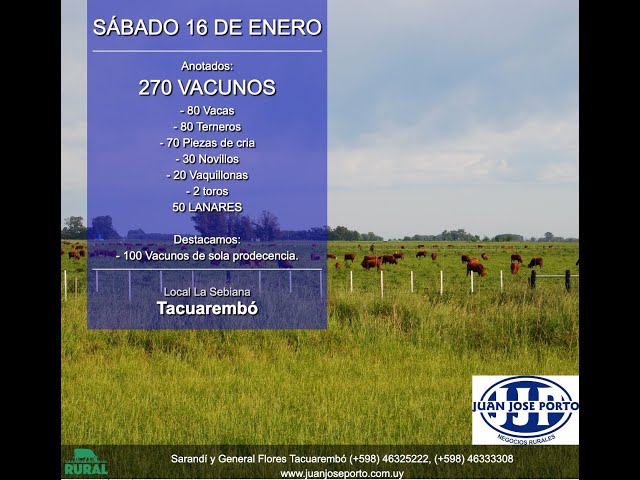 16/01/2021 Local La Sebiana - Juan Jose Porto Negocios Rurales