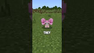 @imfireydude #humor #memes #minecraft
