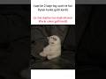 dukh hai mittar #viral #memes #relatable #cat