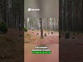 Kamienne kręgi w Polsce sprzed 2000 lat!