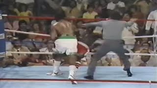WOW!! FIGHT OF THE YEAR | Eddie Mustafa Muhammad vs Jerry Martin, Full HD Highlights