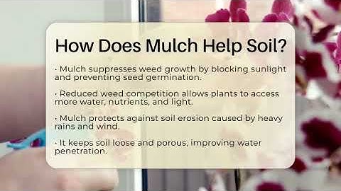 How Does Mulch Help Soil? - The Plant Enthusiast