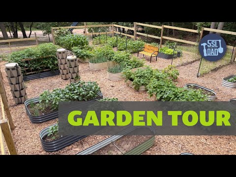 The Best Garden I Have Ever Had - Full Tour