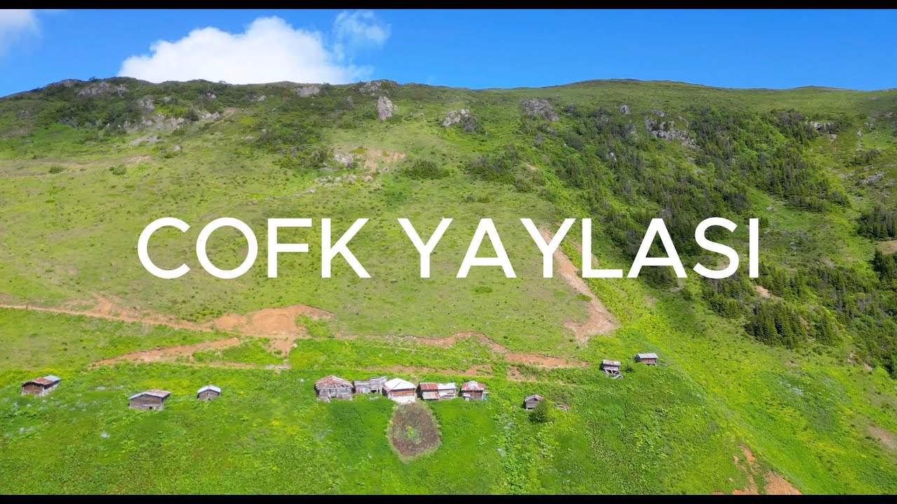 COFK YAYLASI