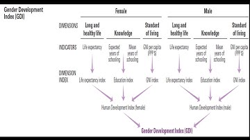 Gender Development Index (GDI)