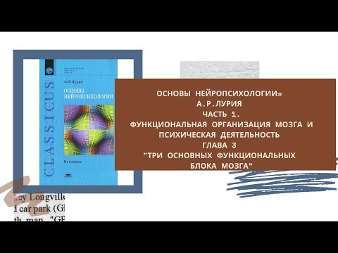 «Основы нейропсихологии» А.Р.Лурия. Прямой эфир 3.