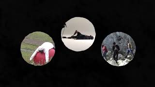 Lyam - Awai Official Video