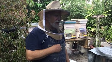 Solid vs Screened Bottom Boards - Beekeeping in South Florida