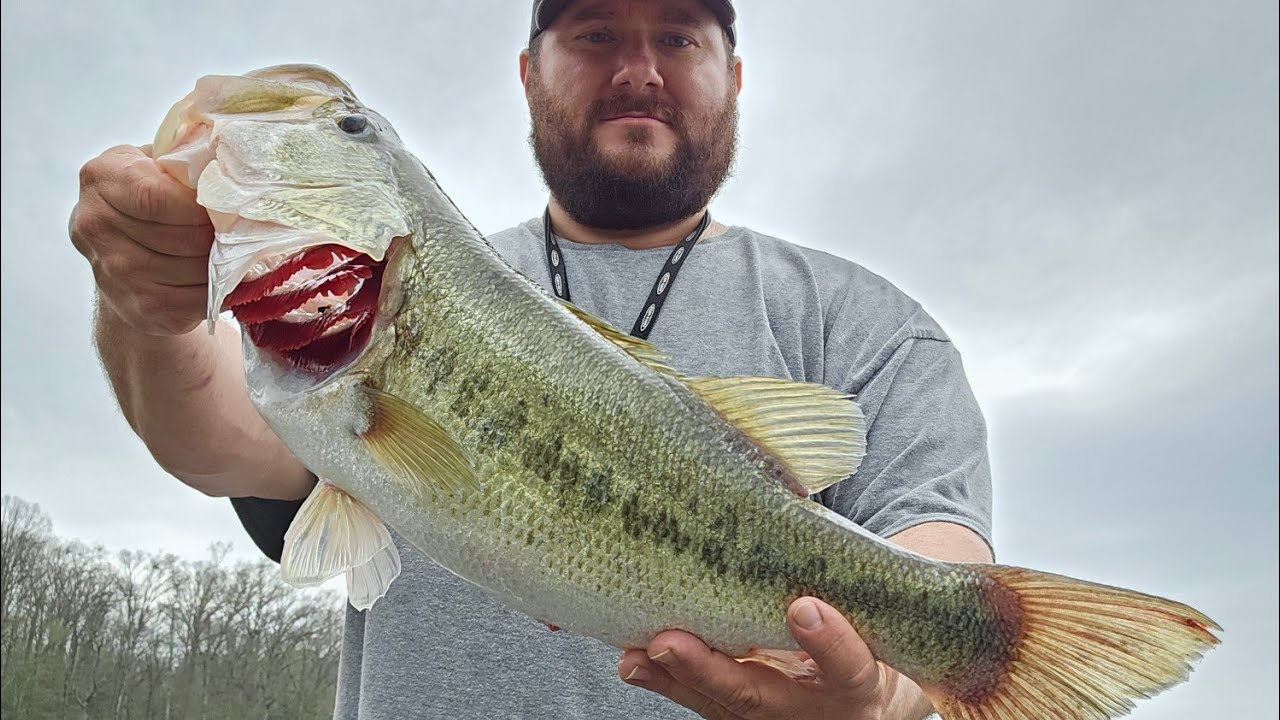 THE BIG BASS ARE BITING ON LAKE CLAIBORNE!!