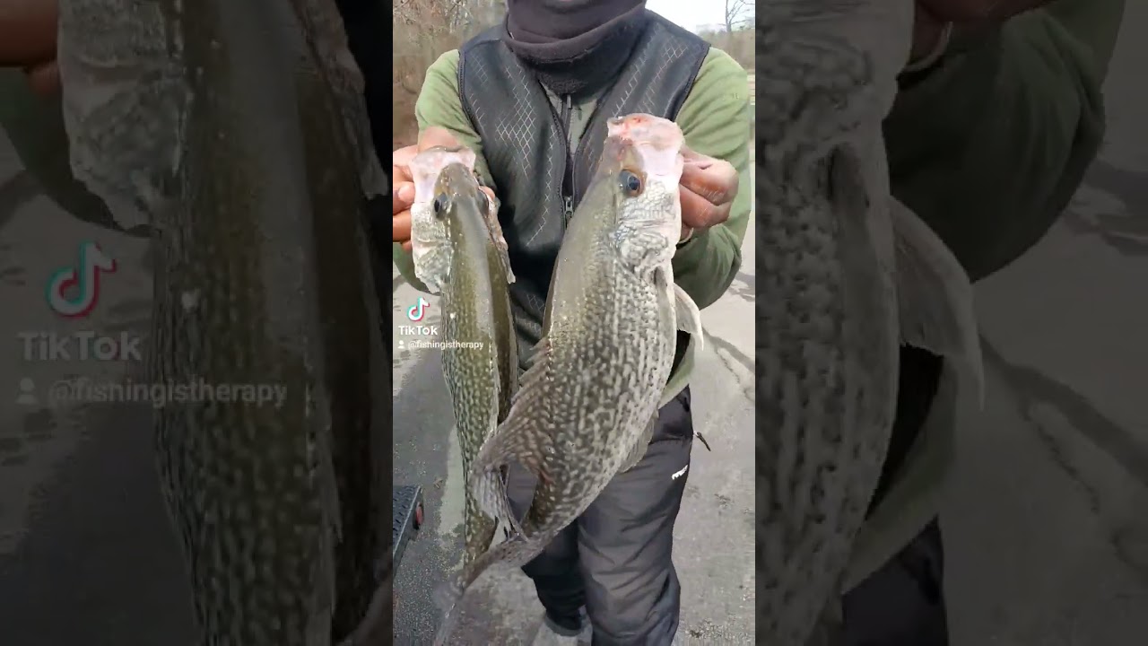 Serious Winter Slab Crappie! 