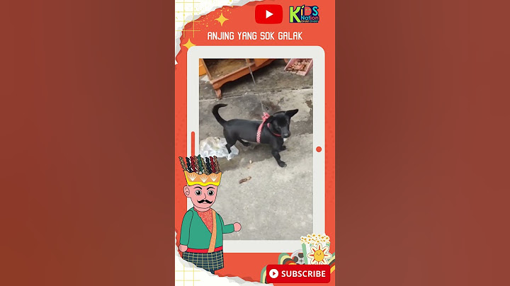 Anjing yang Sok Galak #animals #dog #funnyanimals
