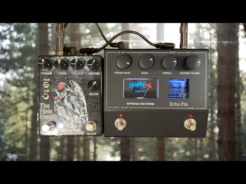 Will it Shoegaze? // Echo Fix - Spring Reverb - YouTube