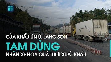 Cửa khẩu lại ùn ứ, Lạng Sơn tạm dừng nhận xe hoa quả tươi xuất khẩu từ 16/2 | VTC1